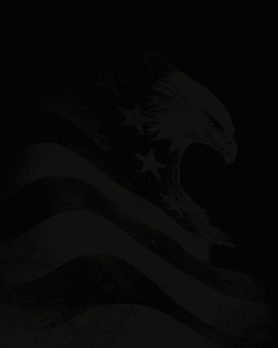 Eagle illustration